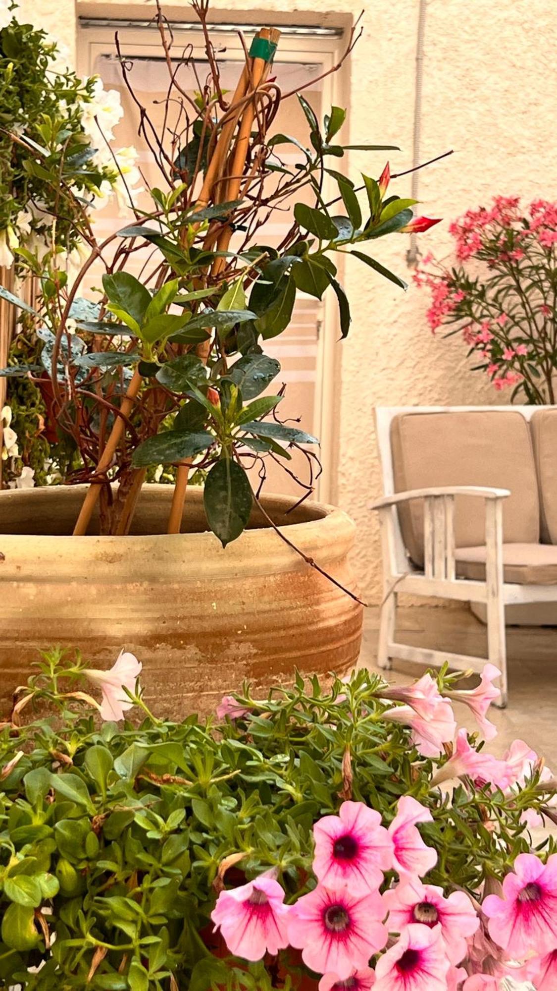 Dimora Donna Vitalia Apartments Trapani Extérieur photo